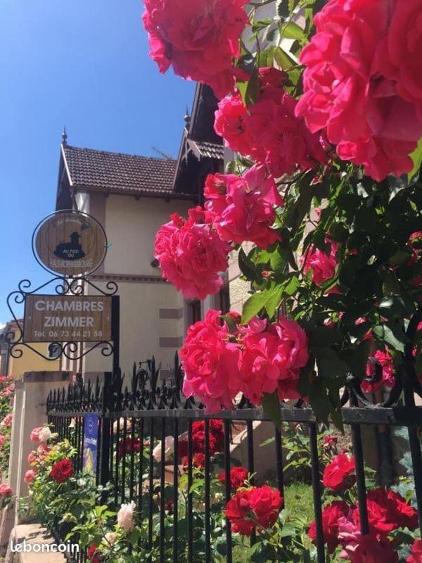 Gites Au Pied Du Haut-Koenigsbourg كينتزهيم المظهر الخارجي الصورة